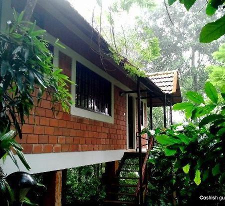 Coffee Acres Plantation Resort 卡尔佩特塔 外观 照片