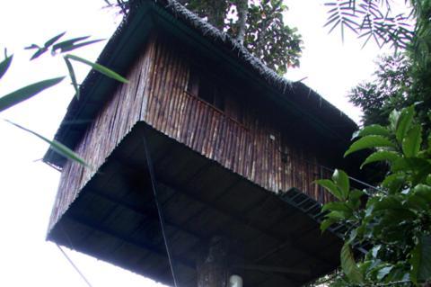 Coffee Acres Plantation Resort 卡尔佩特塔 客房 照片