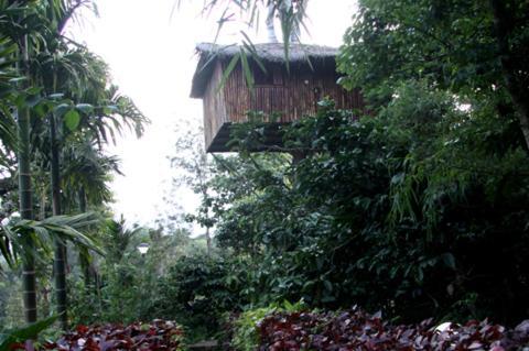 Coffee Acres Plantation Resort 卡尔佩特塔 客房 照片
